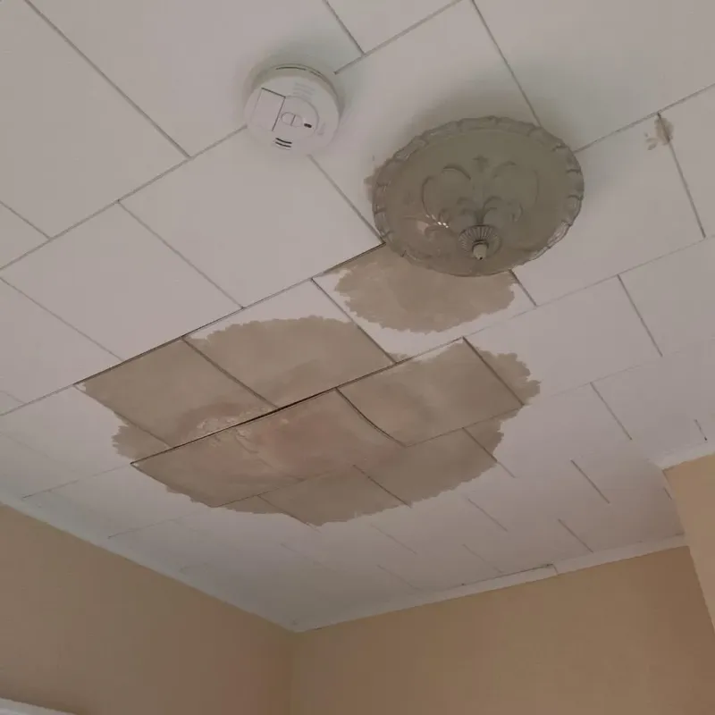 Ceiling Water Damage Repair in Monroe, WI