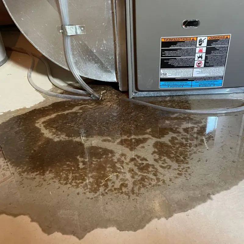 Pipe Burst and Leak Restoration in Monroe, WI