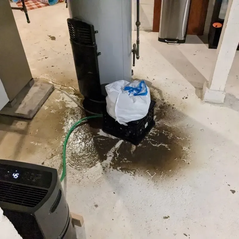 Sewage Backup Cleanup Service in Monroe, WI